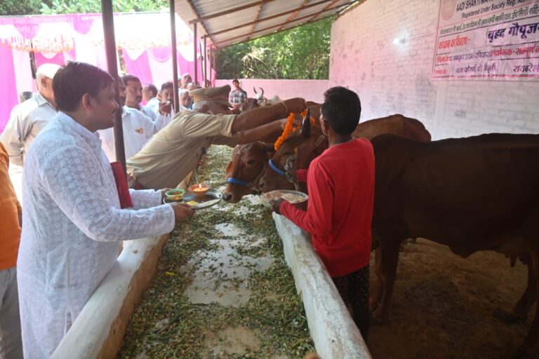 WhatsApp Image 2025-09-08 at 10.02.01 PM(1)